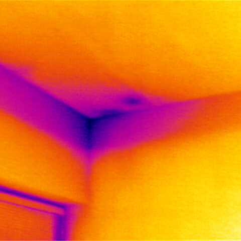 zisťovanie vlhkých miest v dome pomocou termokamery